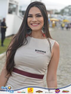 Festa do Boi Malandro